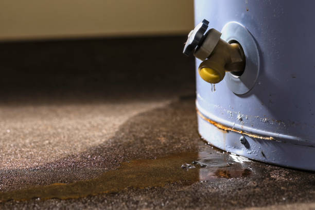 Best Local water damage restoration  in Clyde, OH