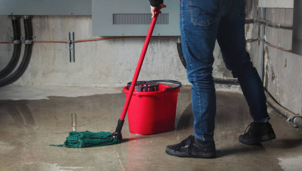 Best Water damage restoration near me  in Clyde, OH