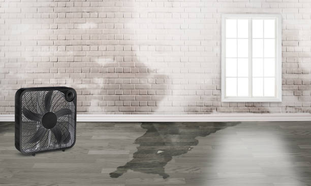 Best Commercial water damage restoration  in Clyde, OH