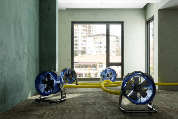 Professional Water damage restoration in Clyde, OH